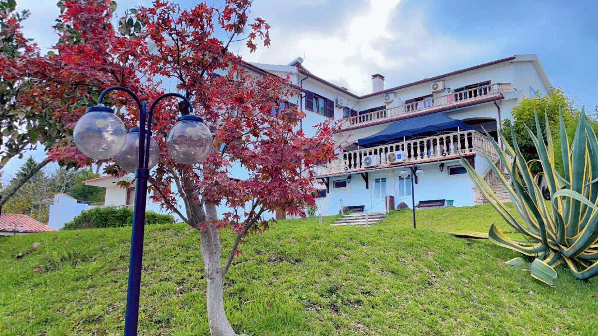 קוימברה Jantesta Guest House מראה חיצוני תמונה