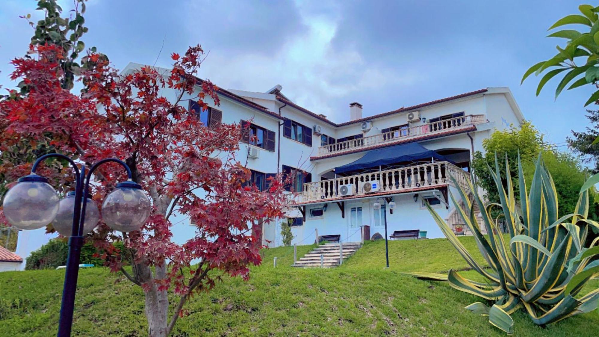 קוימברה Jantesta Guest House מראה חיצוני תמונה