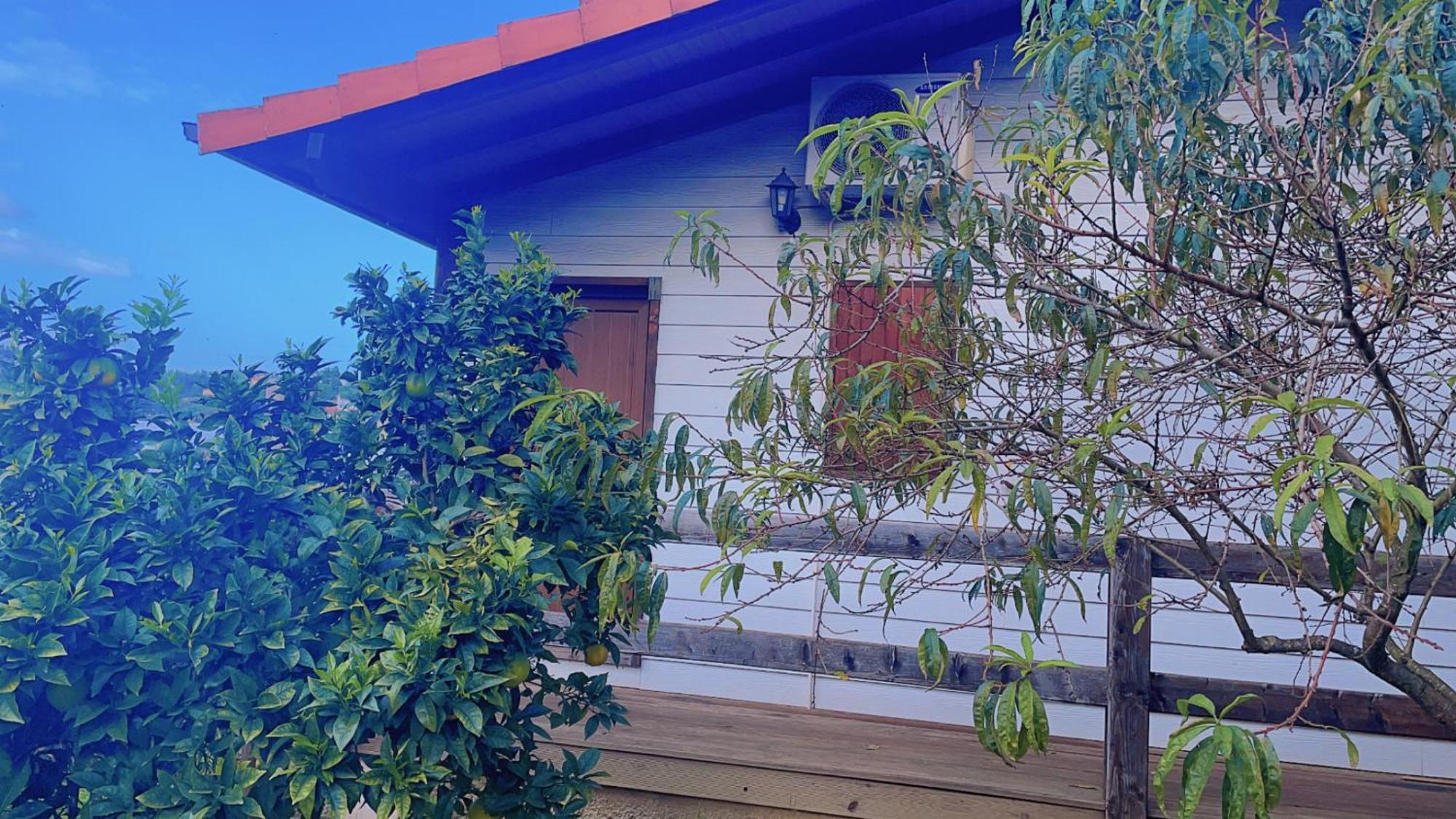 קוימברה Jantesta Guest House מראה חיצוני תמונה